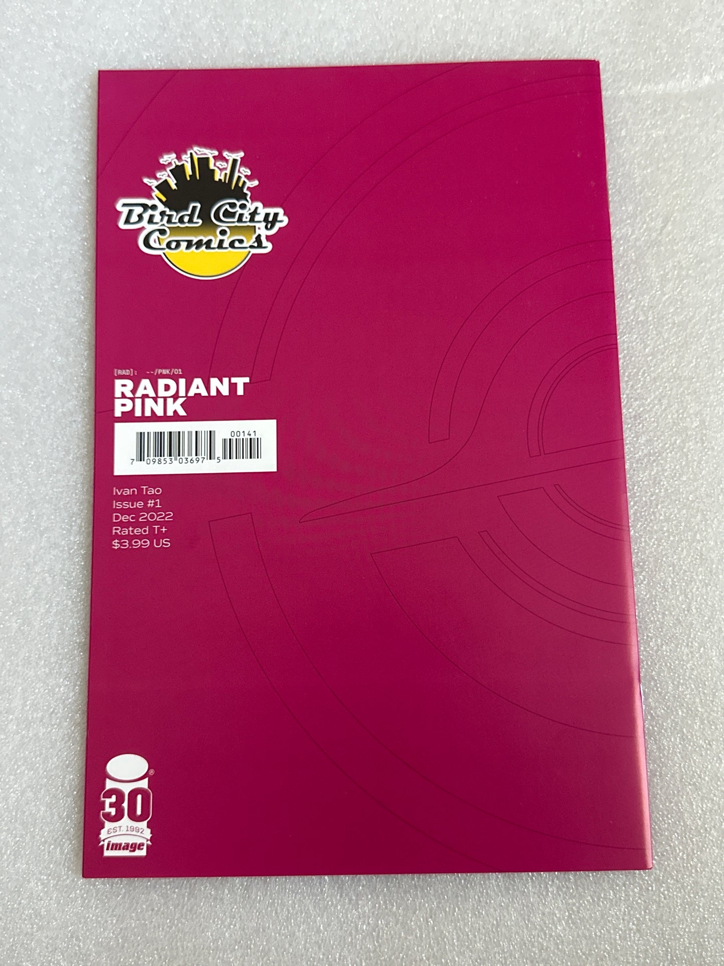 Radiant Pink #1 Bird City Comics Virgin Cover Image 2022