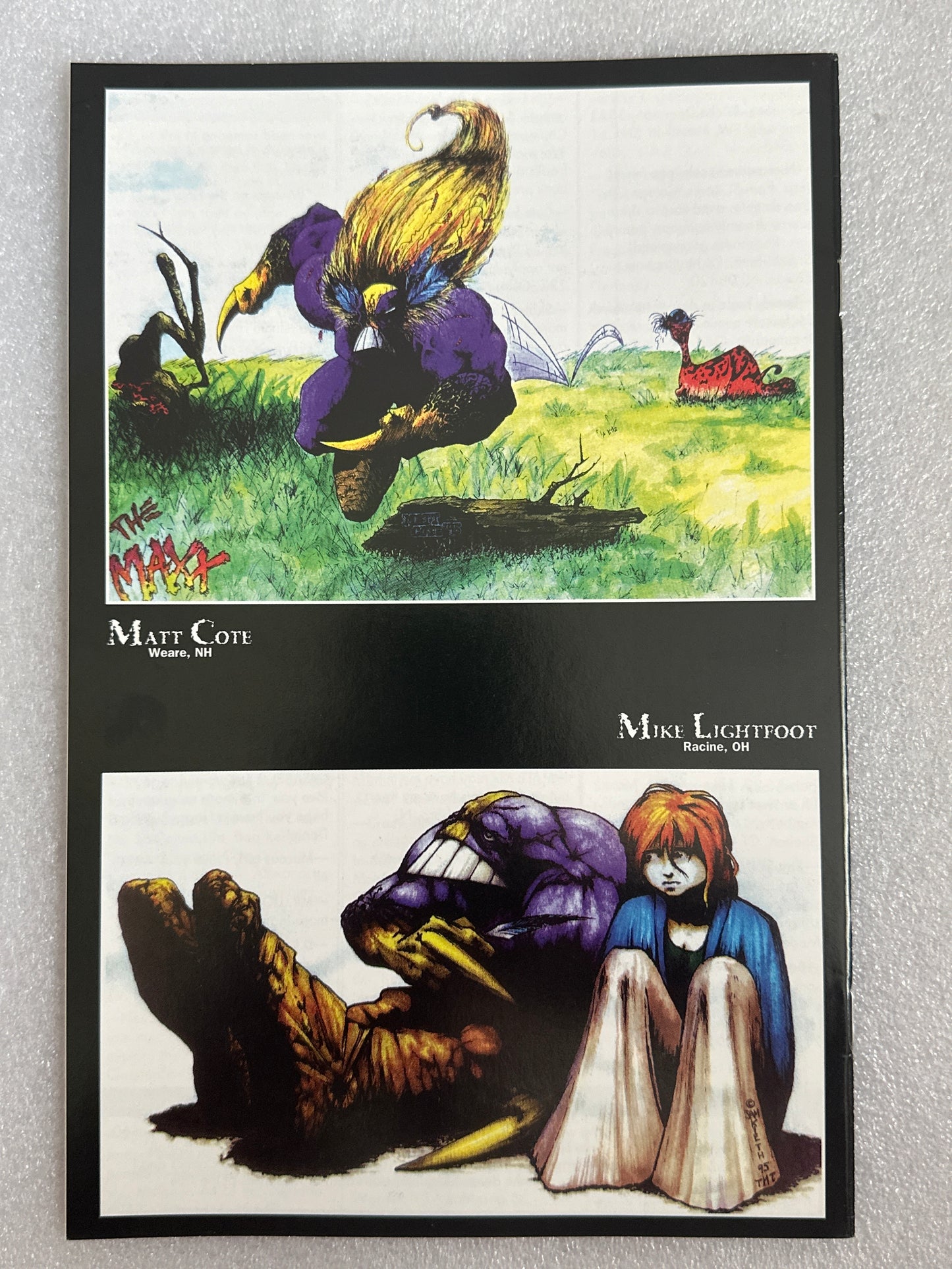 Maxx #20 Image 1995