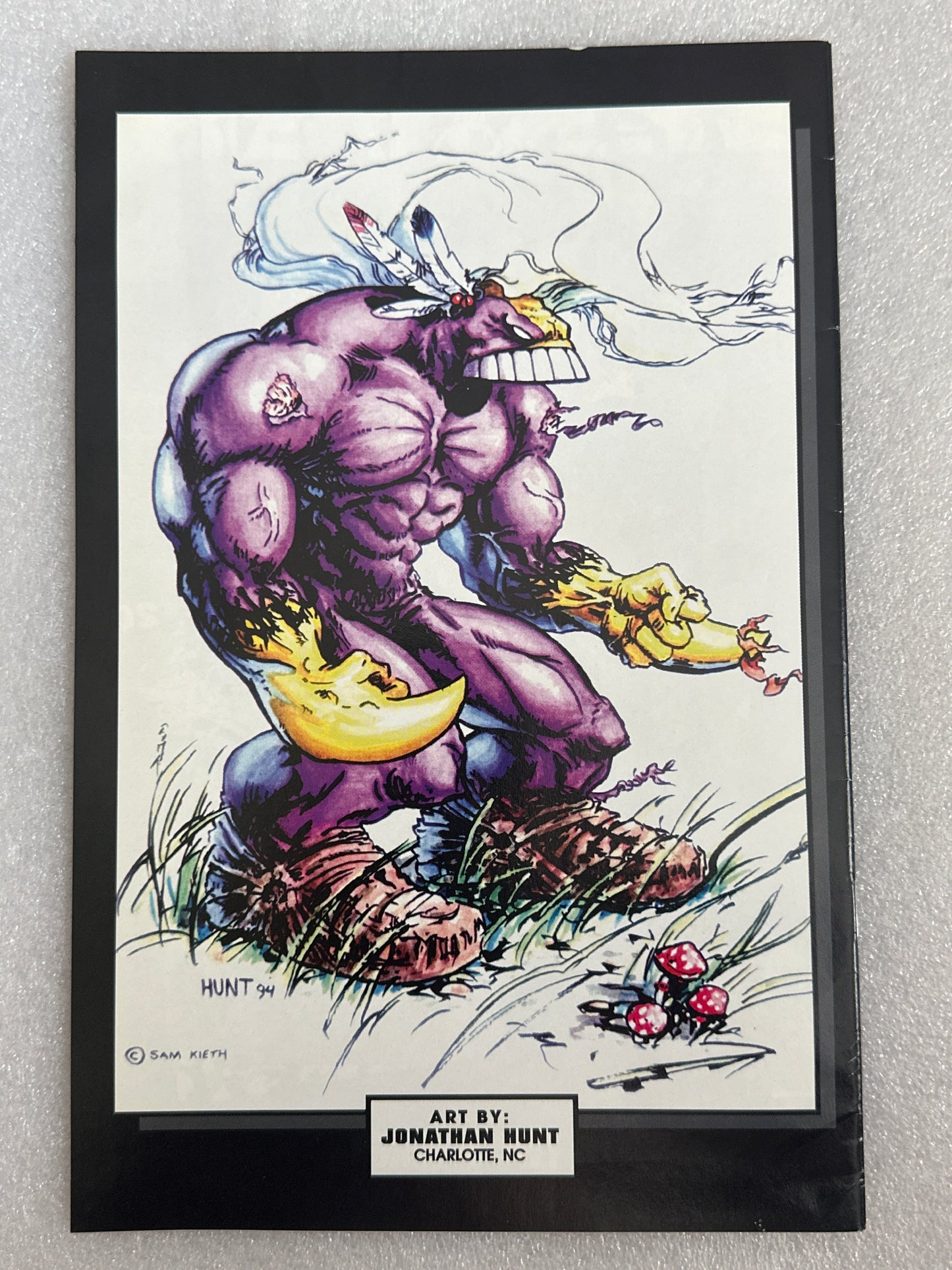 Maxx #11 Image 1994