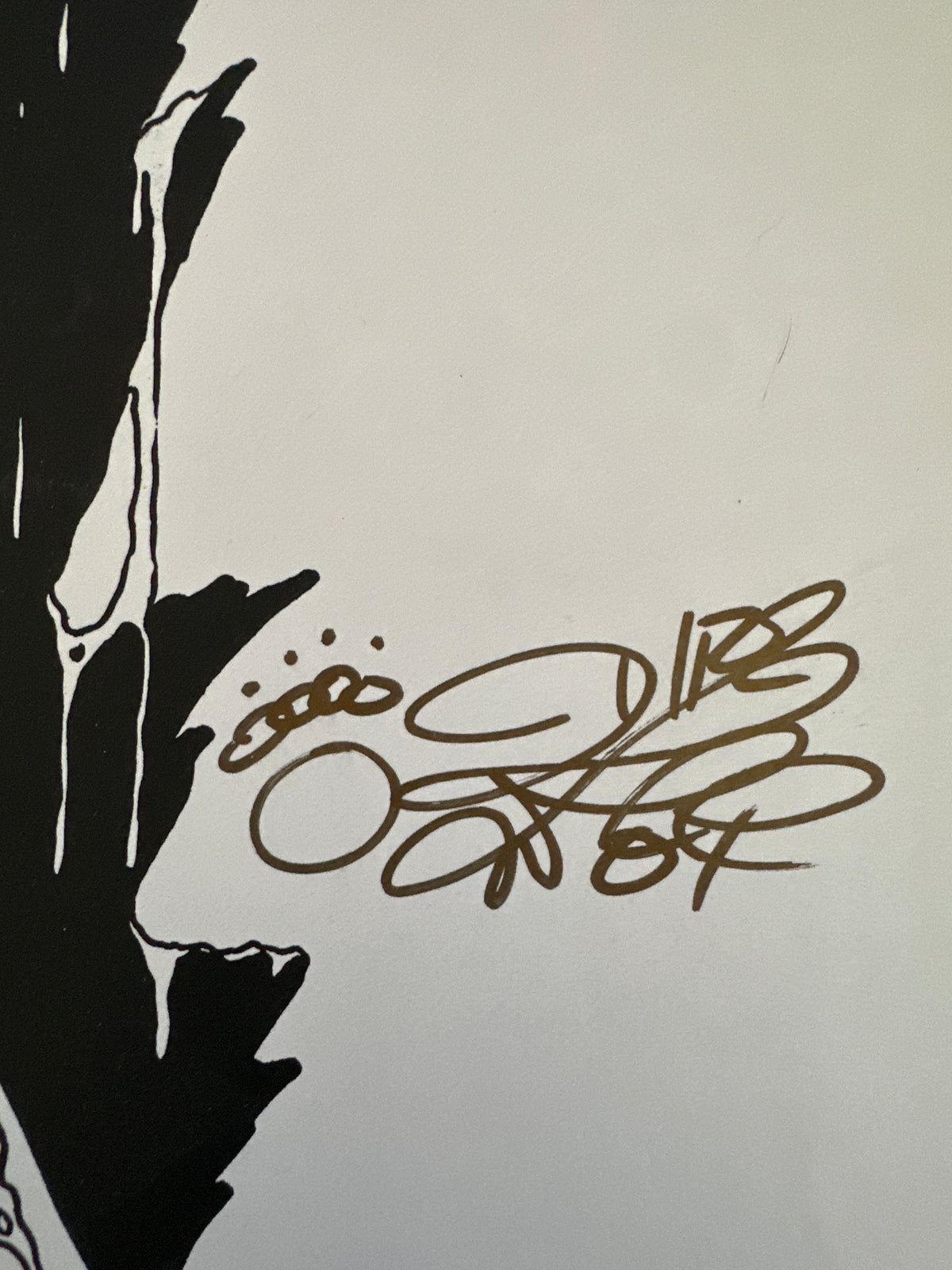 Lady Death Print by Dire Wolf Signed 2008