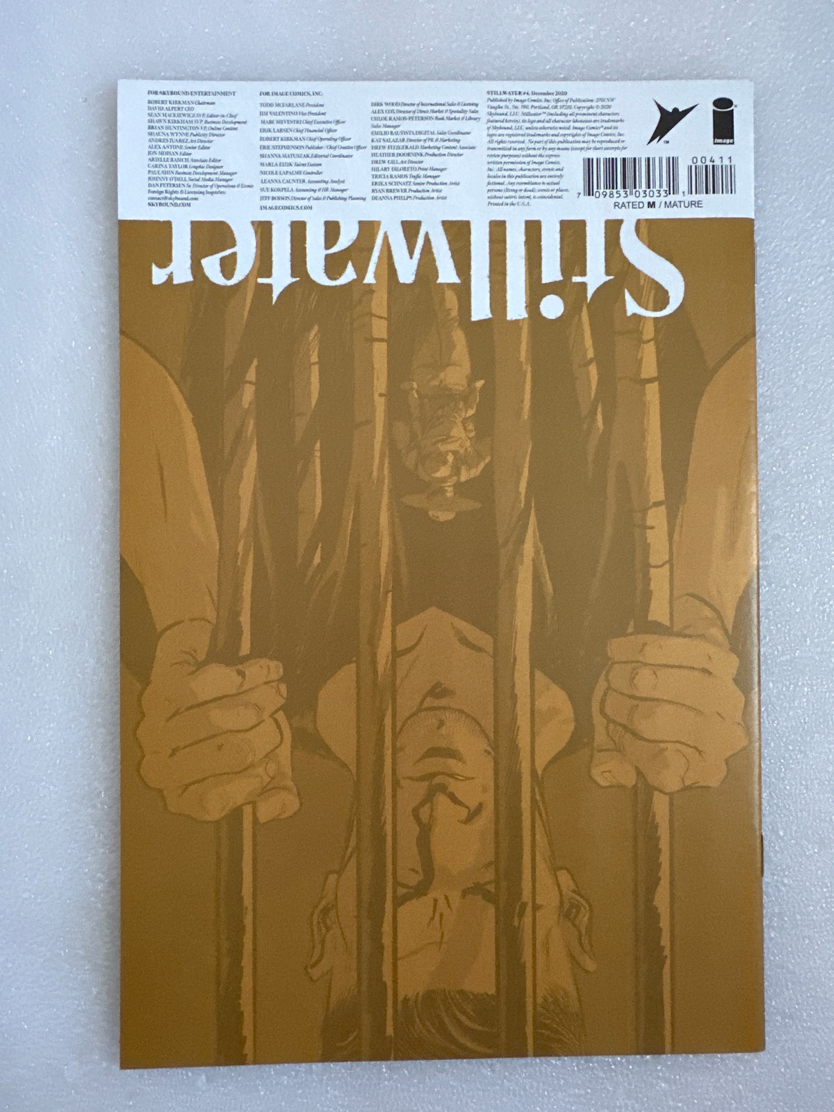 Stillwater #4 Optioned Image 2020