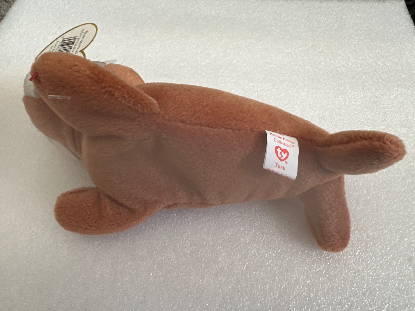Tusk Rare Beanie Baby TY 1995