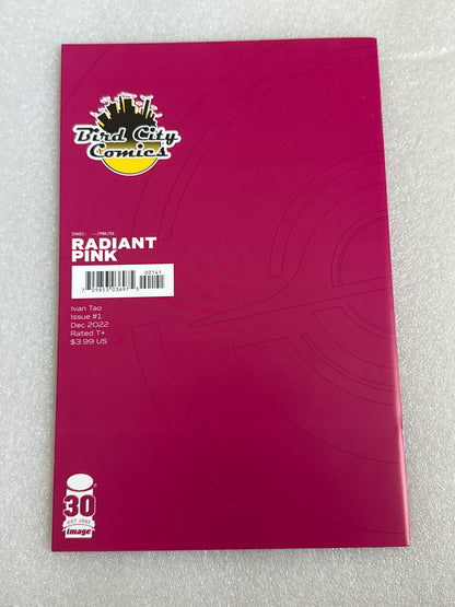 Radiant Pink #1 Bird City Comics Virgin Cover Image 2022