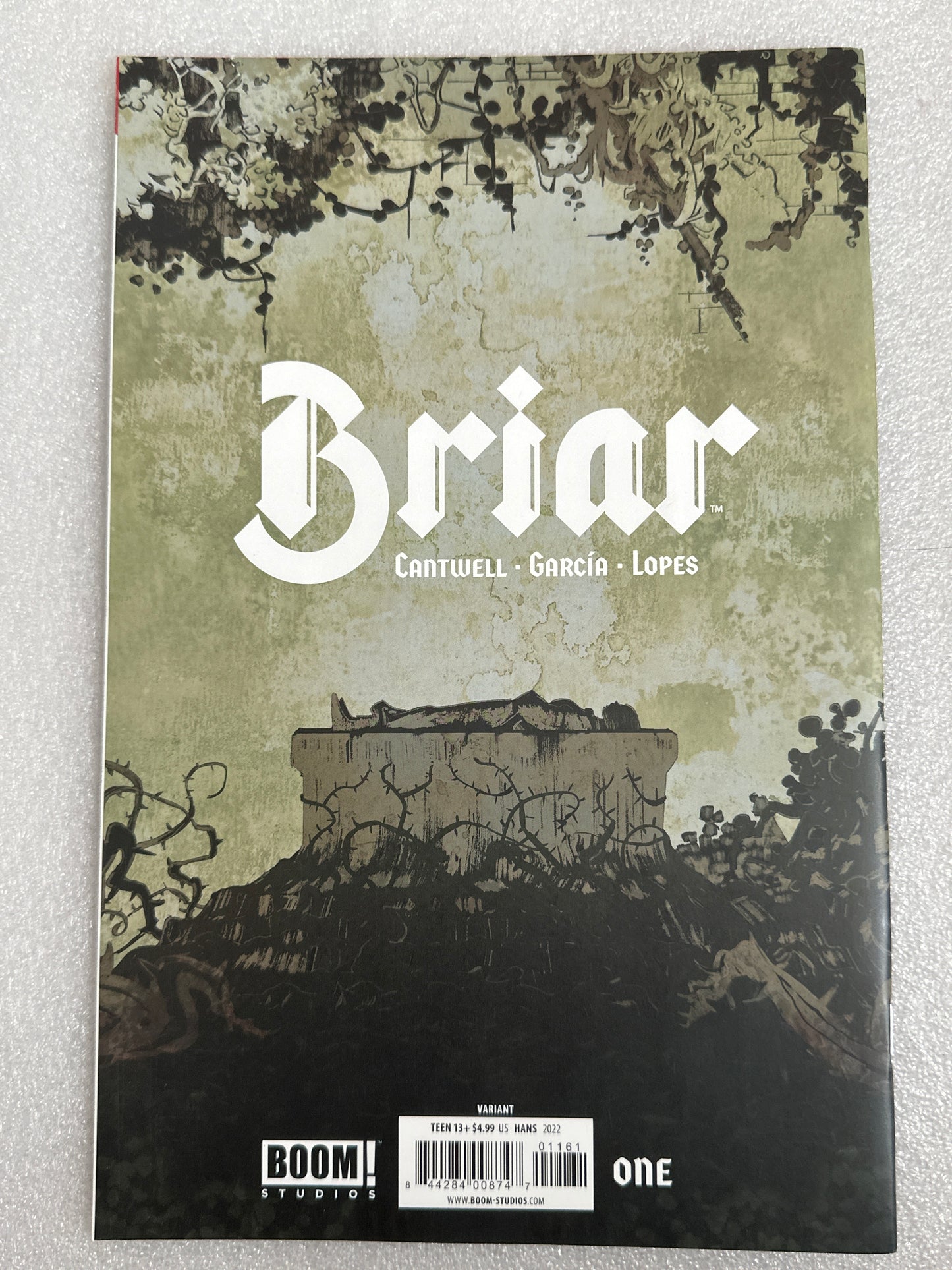 Briar #1 virgin variant Boom! Studios 2022