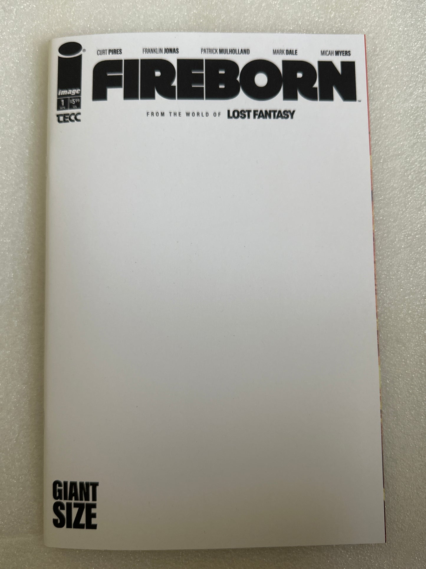 Fireborn #1 Blank Variant Cover E Image 2026