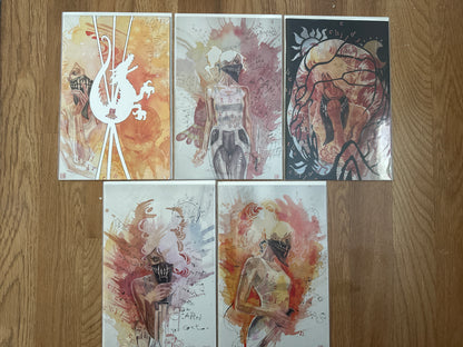 Something is Killing the Children #1-25 David Mack Virgin Variant Cover Set plus #25 ComicTom Variant Boom! 2022