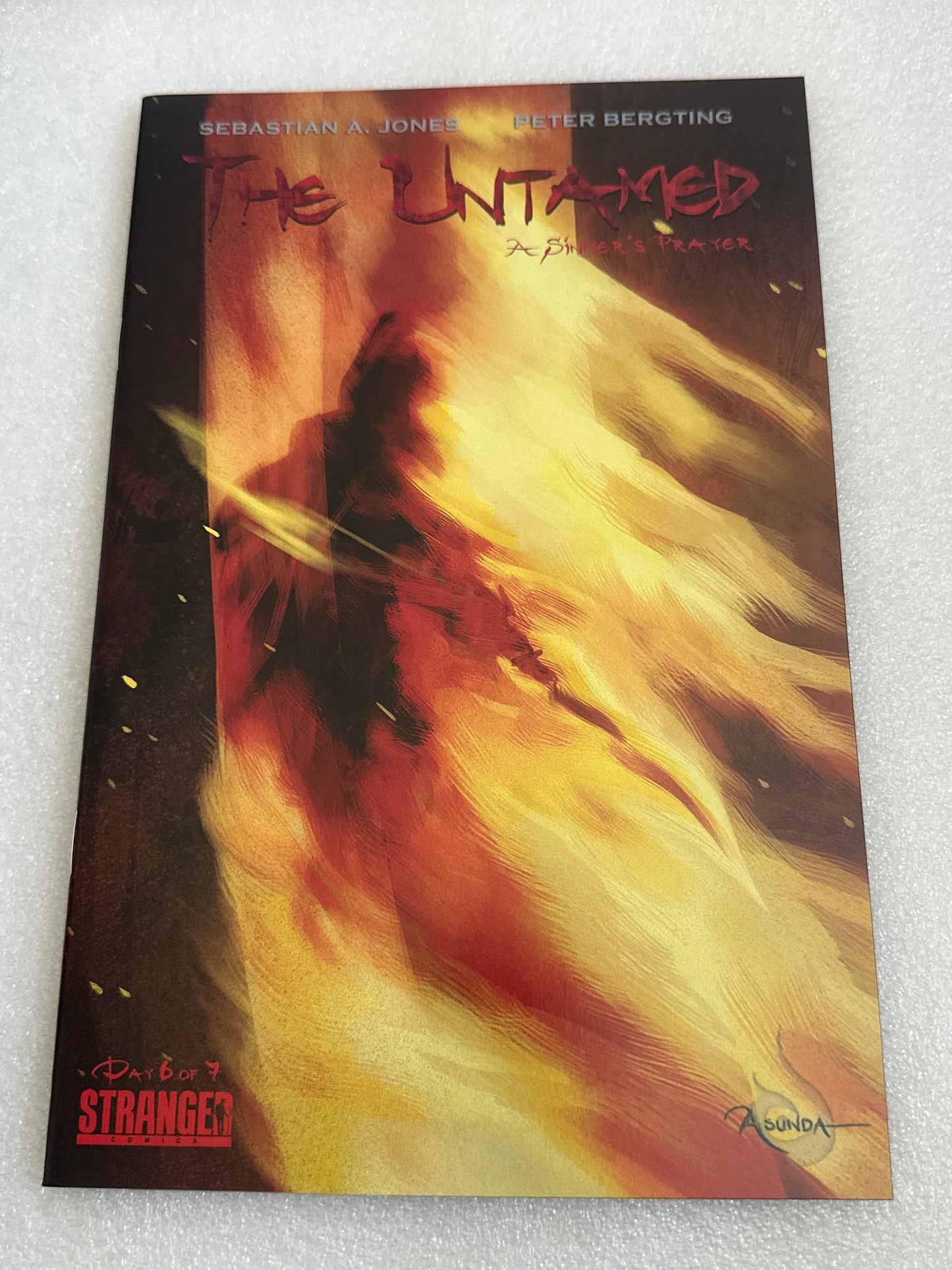 The Untamed A Sinner's Prayer Set #1-7, Niobe, Stranger Comics 2009