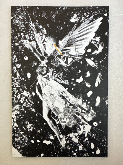 Violet Descends #1 The Comic Mint / BloodMoon Virgin  Variant 2023