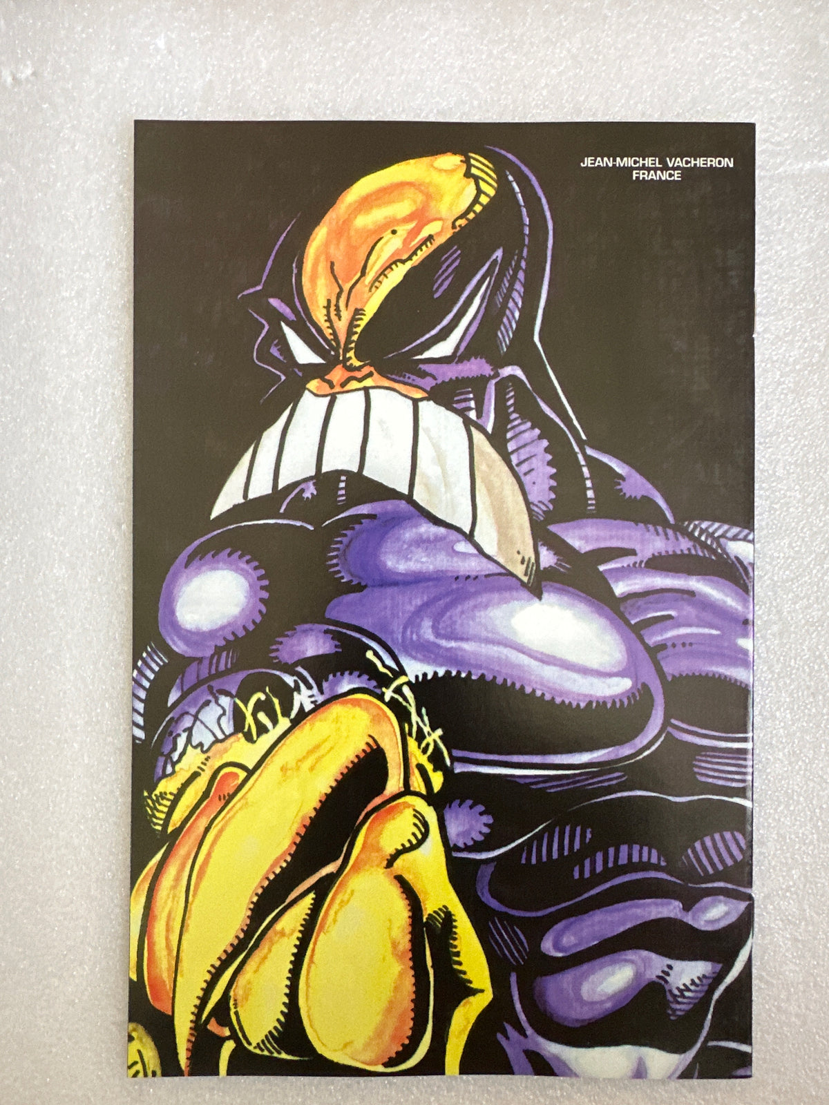 Maxx #13 Image Comics 1995
