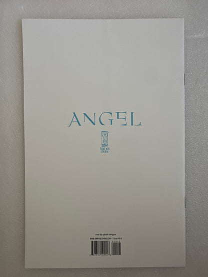 Angel #19 Cover RI-B Blue Line Variant IDW 2009