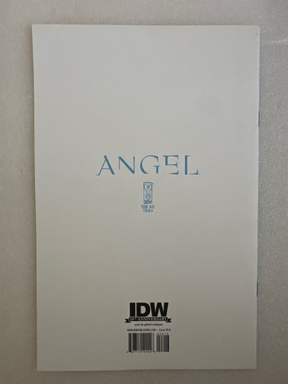 Angel #22 Cover RI-B Blue Line Variant IDW 2009