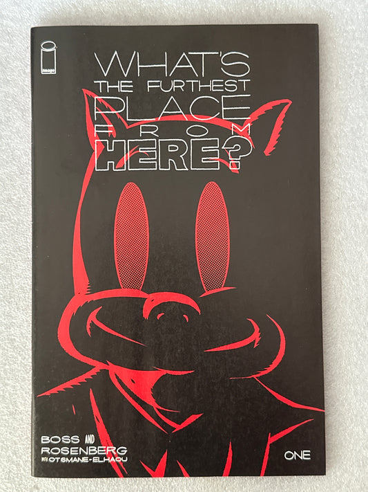 What is the Furthest Place From Here #1 Cover D Image 2021