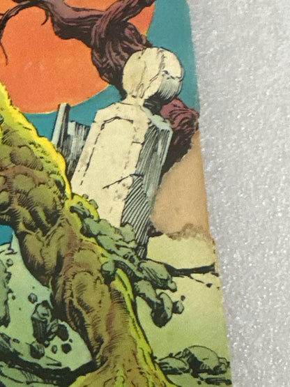 Swamp Thing #13 DC 1974