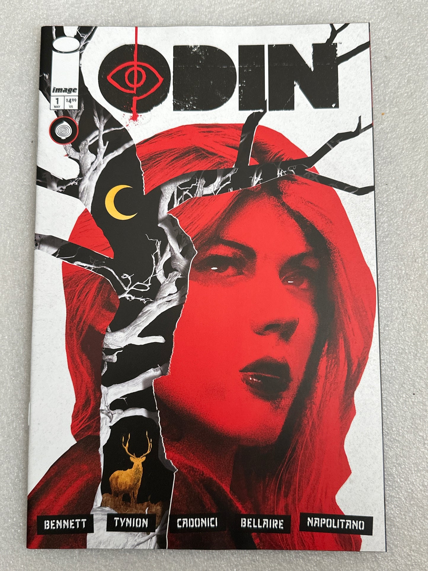 Odin #1 Cover A Image 2026