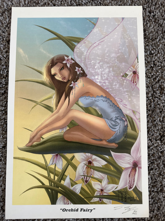 Orchid Fairy Print by David R. signed PCC 2013