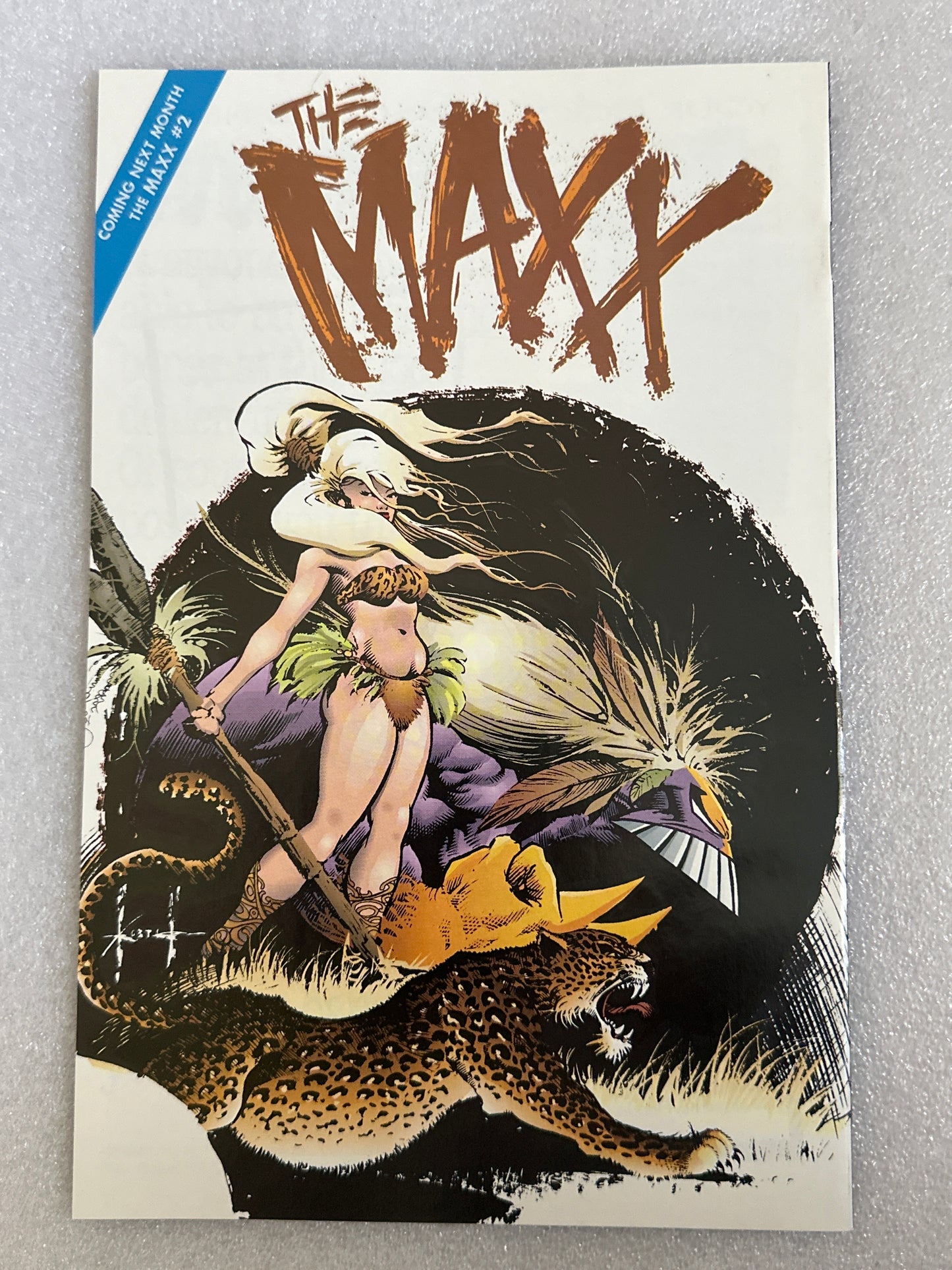 Maxx #1 Image 1993