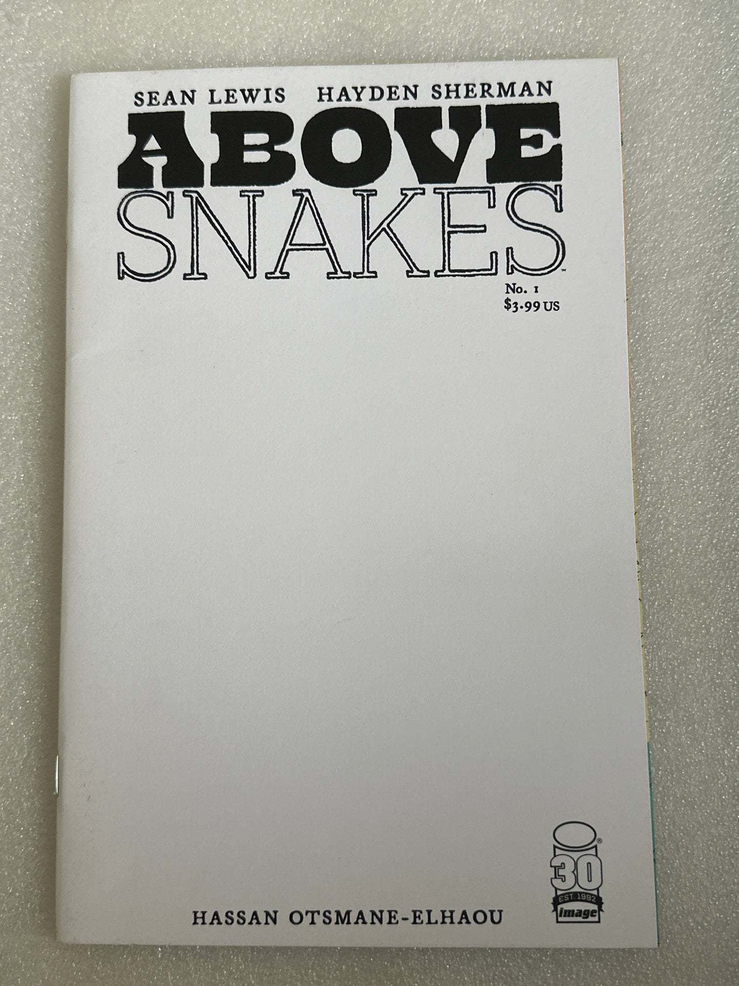 Above Snakes #1 Blank Variant Cover B Image 2022