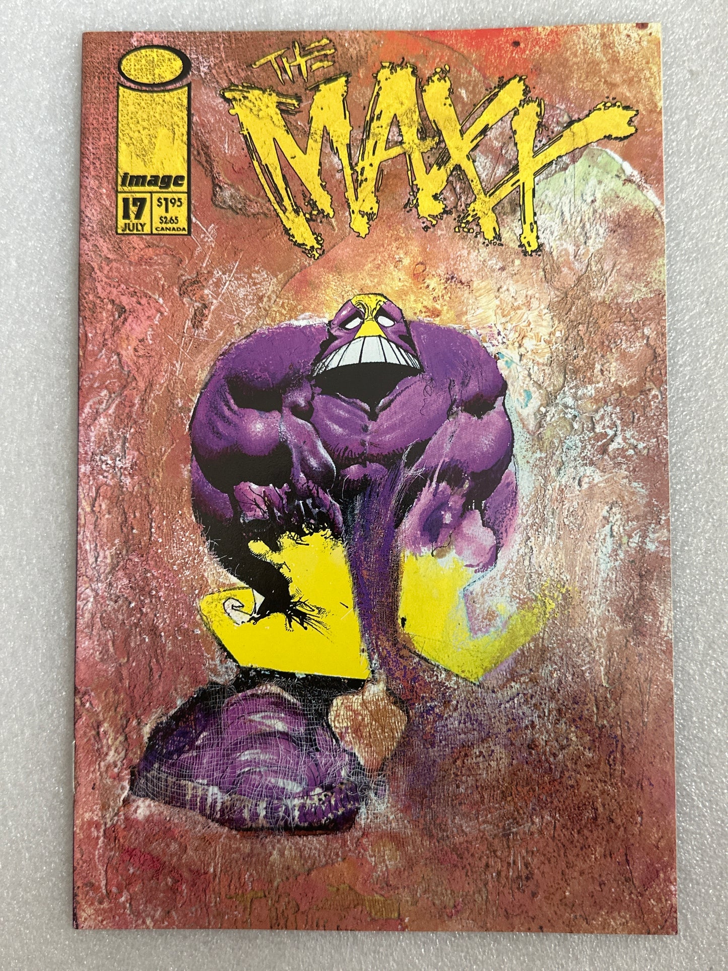 Maxx #17 Image 1995
