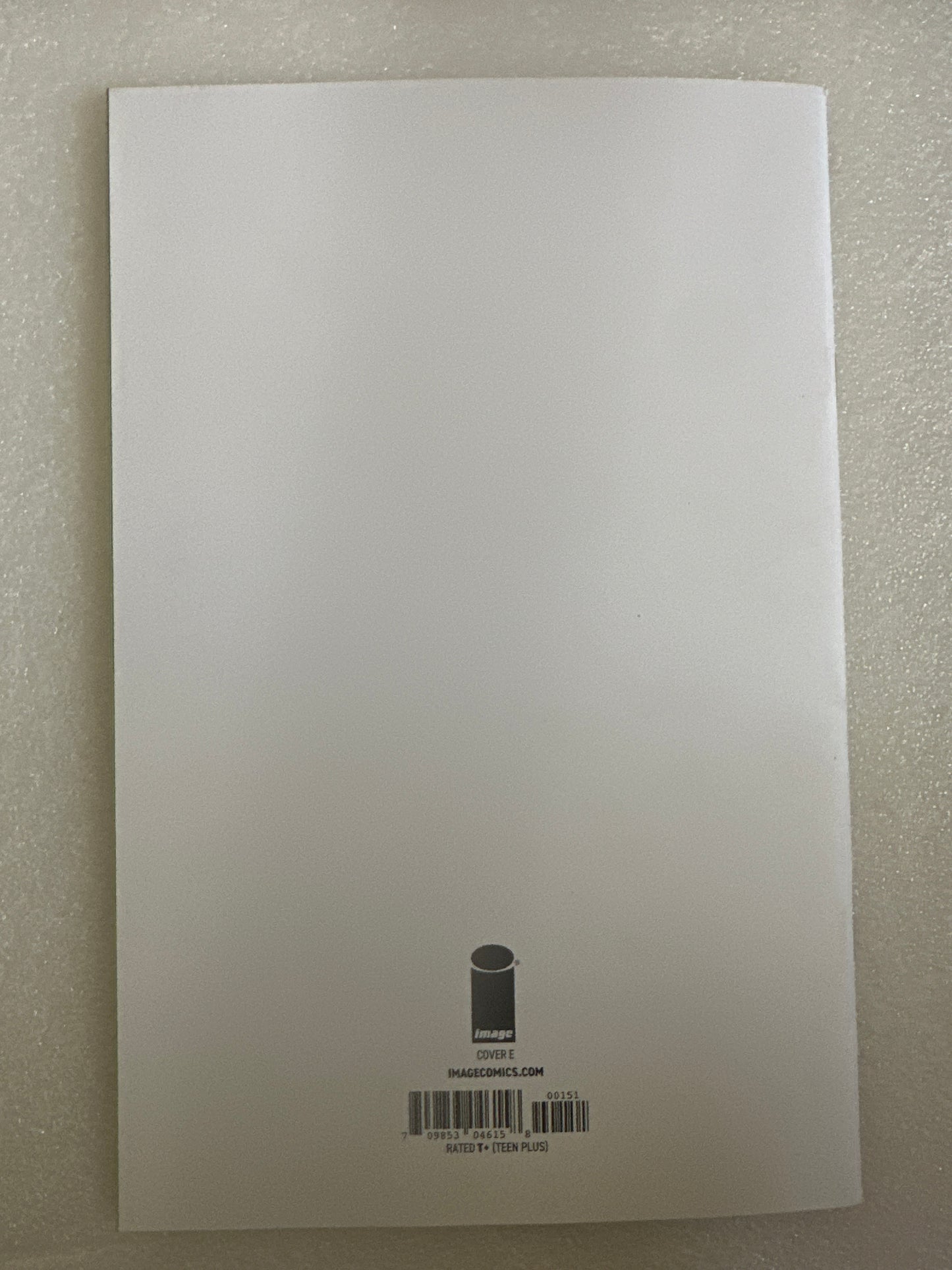 Fireborn #1 Blank Variant Cover E Image 2026