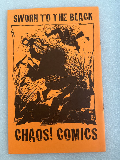 Evil Ernie / Lady Death Ashcan Preview Signed Pulido Chaos! Comics 1994