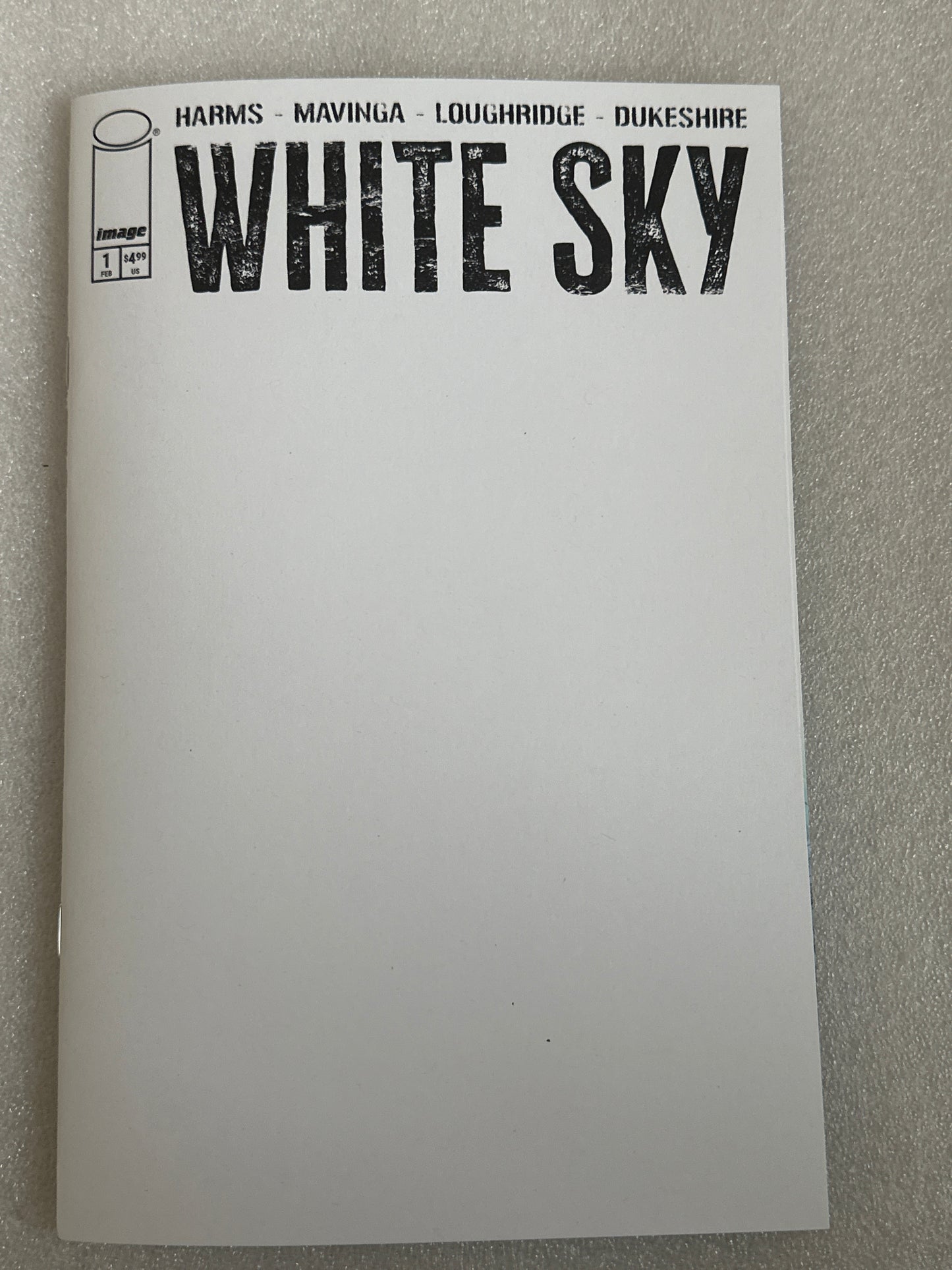 White Sky #1 cover D Blank Image 2026