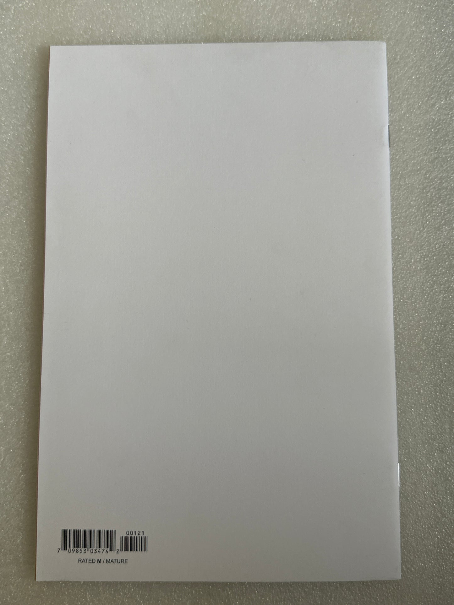 Above Snakes #1 Blank Variant Cover B Image 2022
