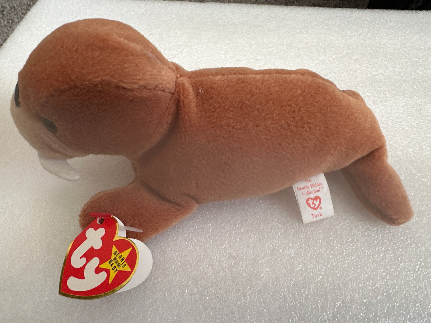 Tusk Rare Beanie Baby TY 1995