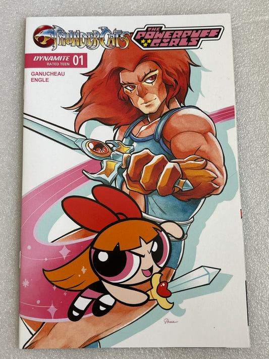 ThunderCats Powerpuff Girls #1 Cover D Dynamite 2025