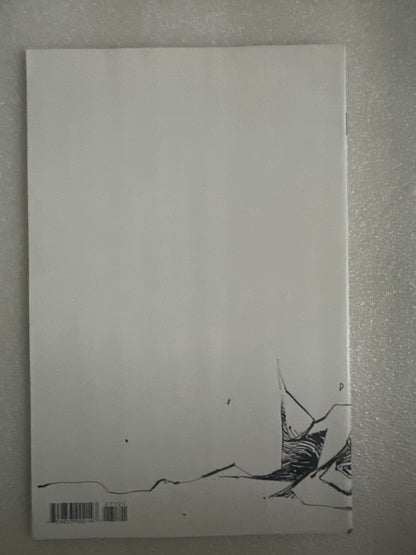 Spawn #271 Black & White Variant Image 2017